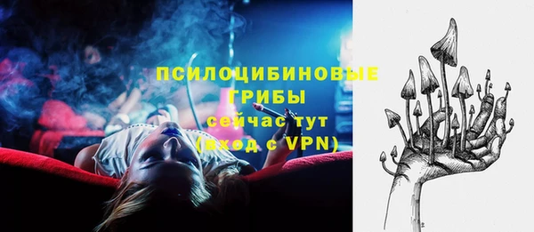 дживик Беломорск