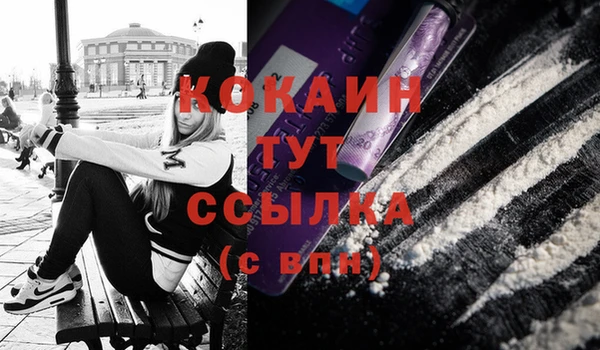 шишки Белоозёрский