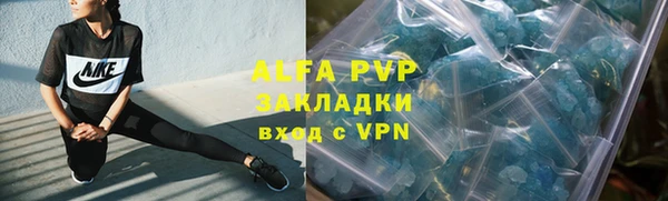 шишки Белоозёрский