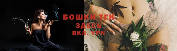 дживик Беломорск