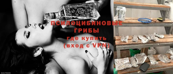шишки Белоозёрский