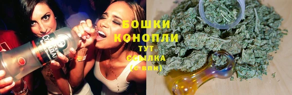дживик Беломорск