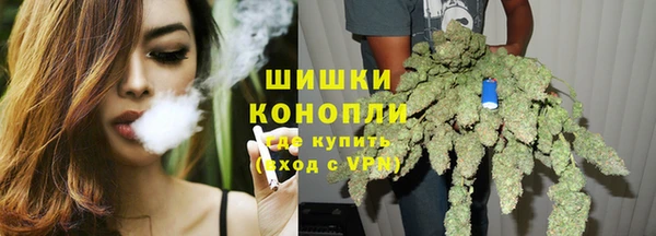 шишки Белоозёрский